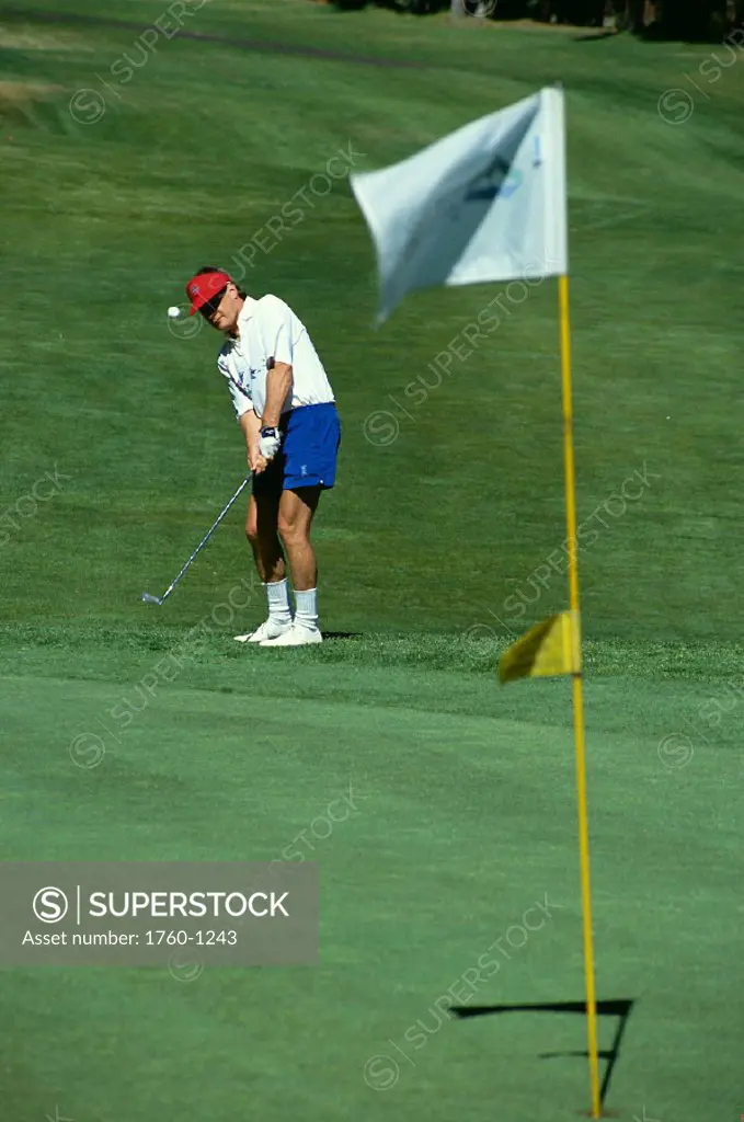 Man on the Golf course, putting green, Hawaii B1269