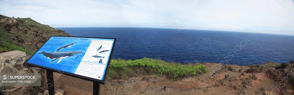 Hawaii, Oahu, Makapuu, Whale watching scenic spot.