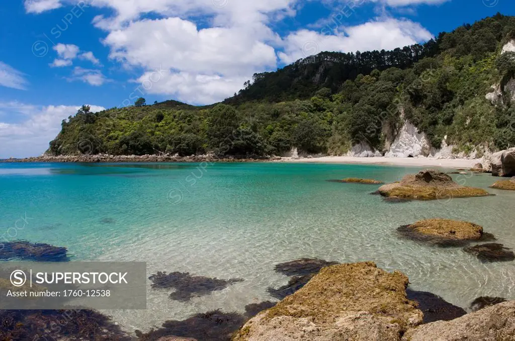 New Zealand, North Island, Coromandel, Stingray Cove, clear blue ocean water.