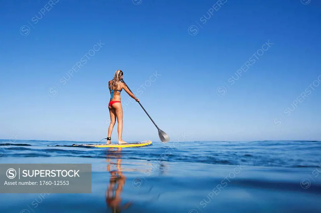 Hawaii, Maui, Paia, Young woman stand up paddling Shore