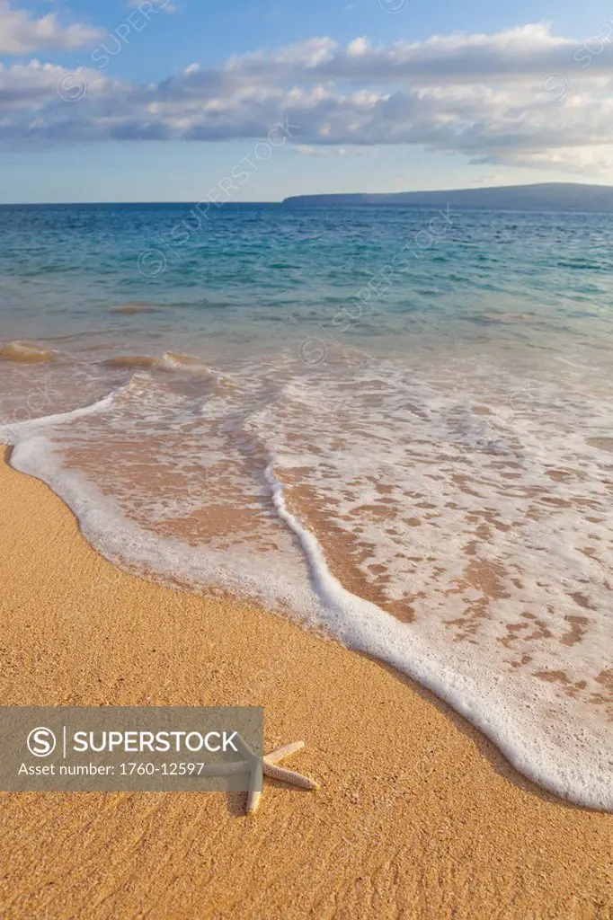 Hawaii, Maui, Makena, Starfish on beautiful shoreline
