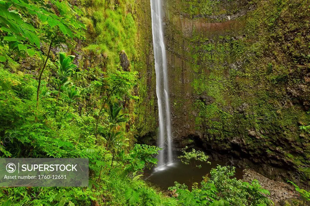 Hawaii, Maui, Hana, Waimoku Falls, Lush waterfall in Haleakala National Park.