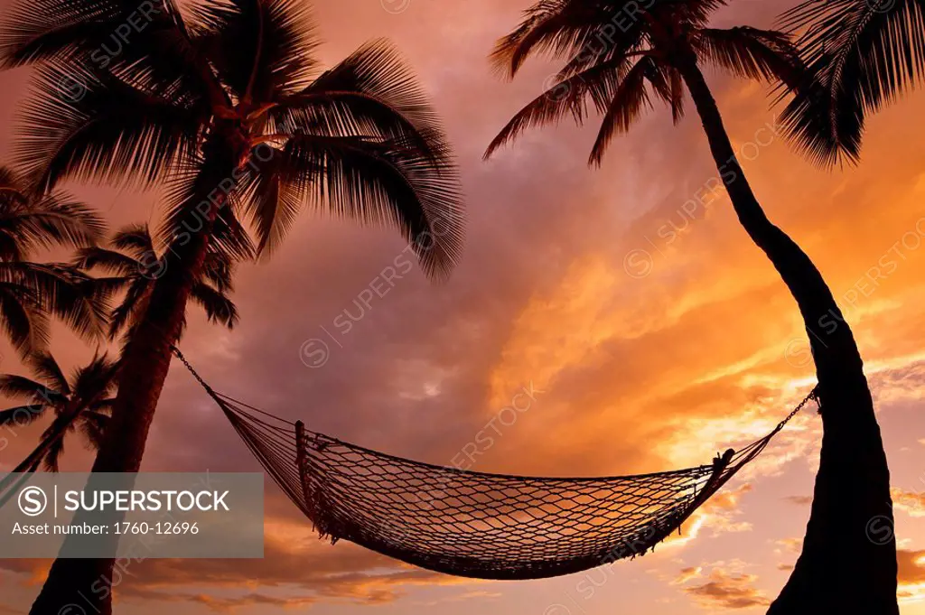 Hawaii, Maui, Silhouette of a hammock hanging between two palm trees at sunset