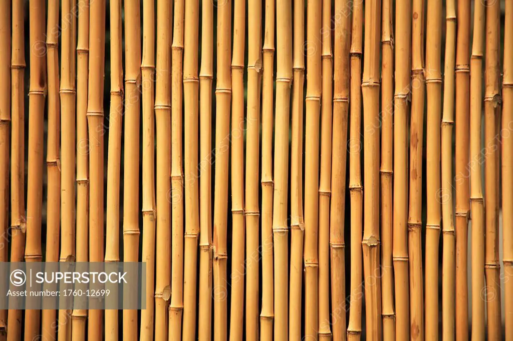 Hawaii, Oahu, Bamboo sticks stacked in line together