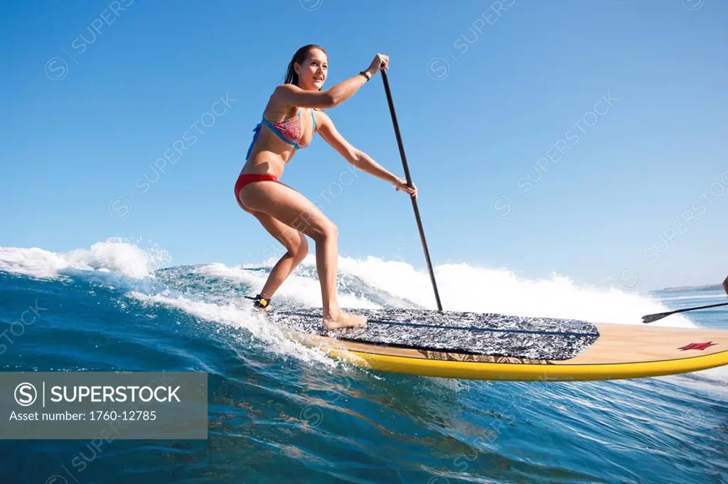 Hawaii, Maui, Paia, Female stand up paddle boarder rides a wave on Maui´s north shore/nNO COMMERCIAL USE