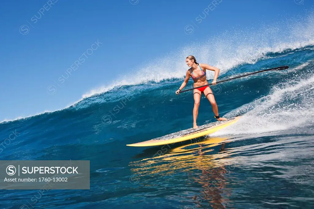 Hawaii, Maui, Paia, Female stand up paddle boarder rides a wave on Maui´s north shore/nNO COMMERCIAL USE