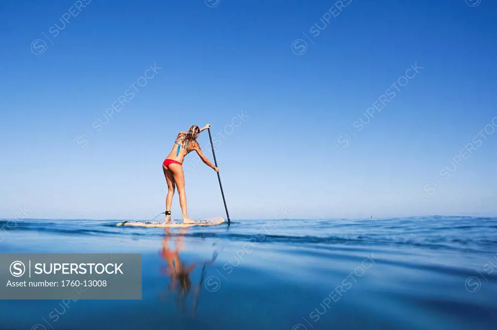 Hawaii, Maui, Paia, Young woman stand up paddling Shore