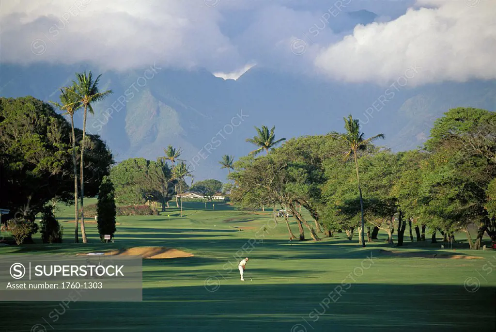 Maui Country Club landscape with man about to hit ball, shadows D1331