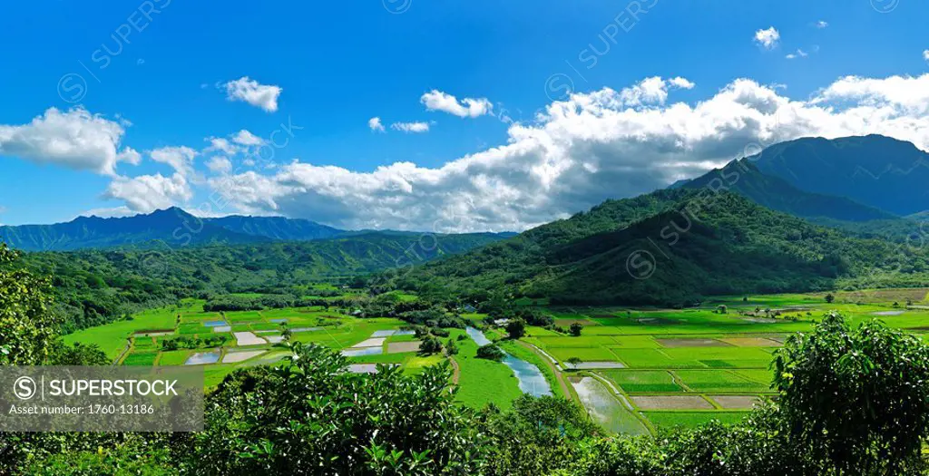 Hawaii, Kauai, Hanalei Valley taro fields and wildlife refuge, panorama.