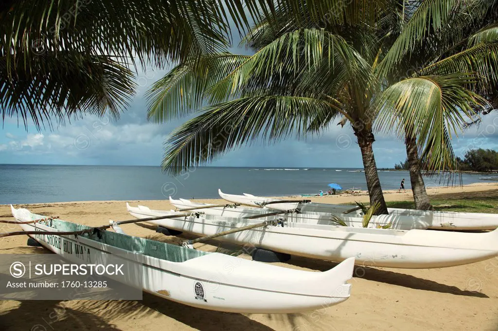 Hawaii, Oahu, Haleiwa, row of outrigger canoes on beach.