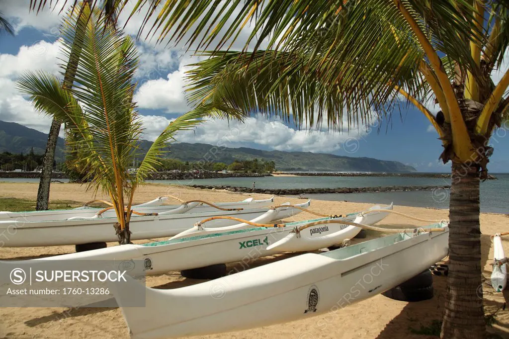 Hawaii, Oahu, Haleiwa, Row of outrigger canoes on beach.