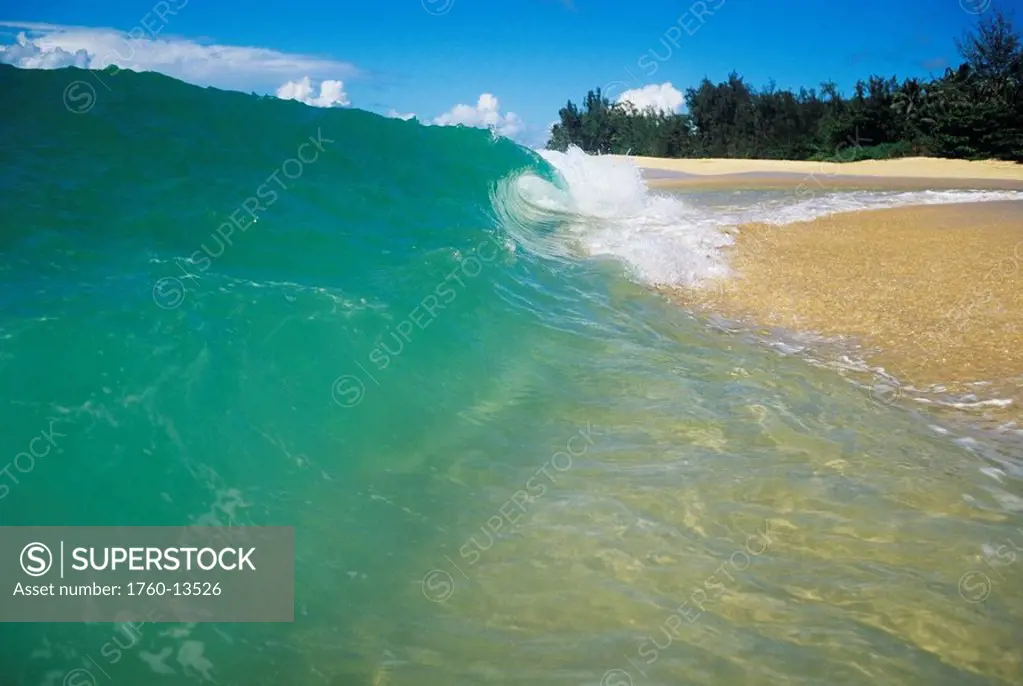 Hawaii, Oahu, North Shore, Turquoise wave curling onto sandy beach.