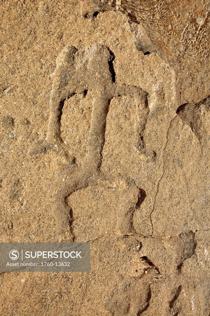 Hawaii, Hawaiian Petroglyph in rock.