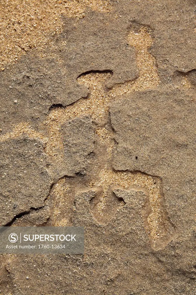 Hawaii, Hawaiian petroglyph carved into stone.