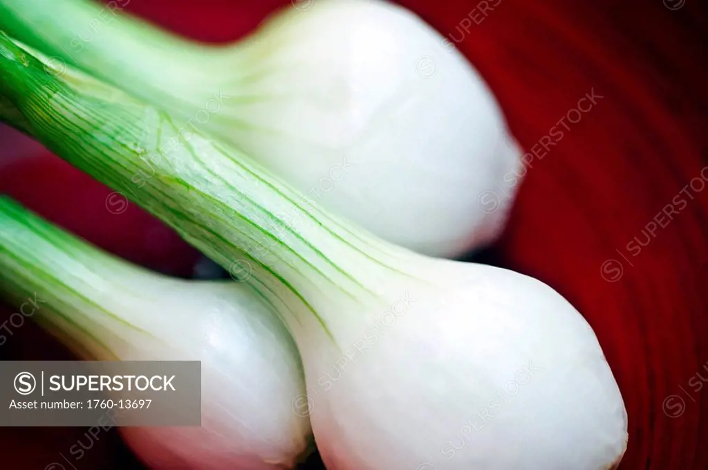 Close_up of Green Onion bulbs.