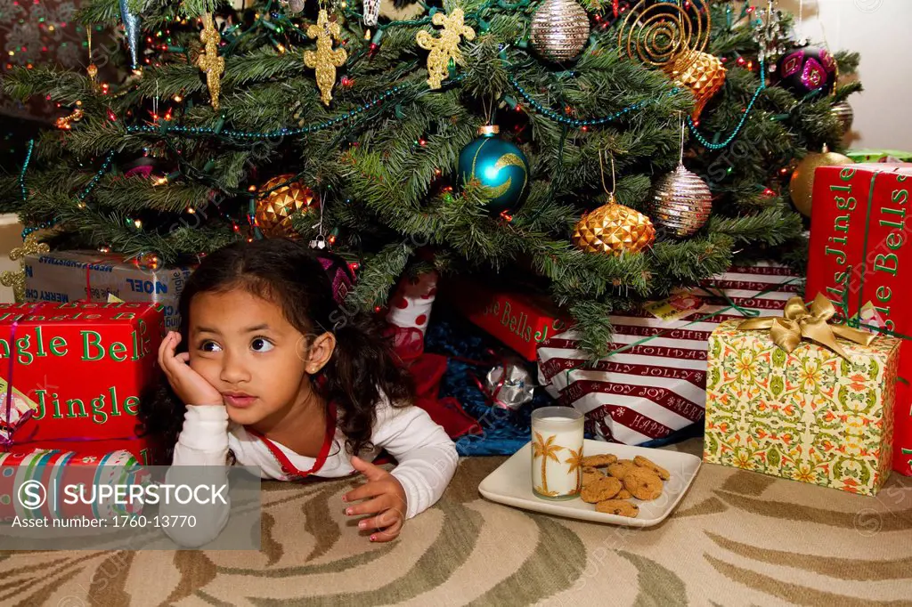 Hawaii, Oahu, Young girl under Christmas Tree with cookies and milk for Santa.