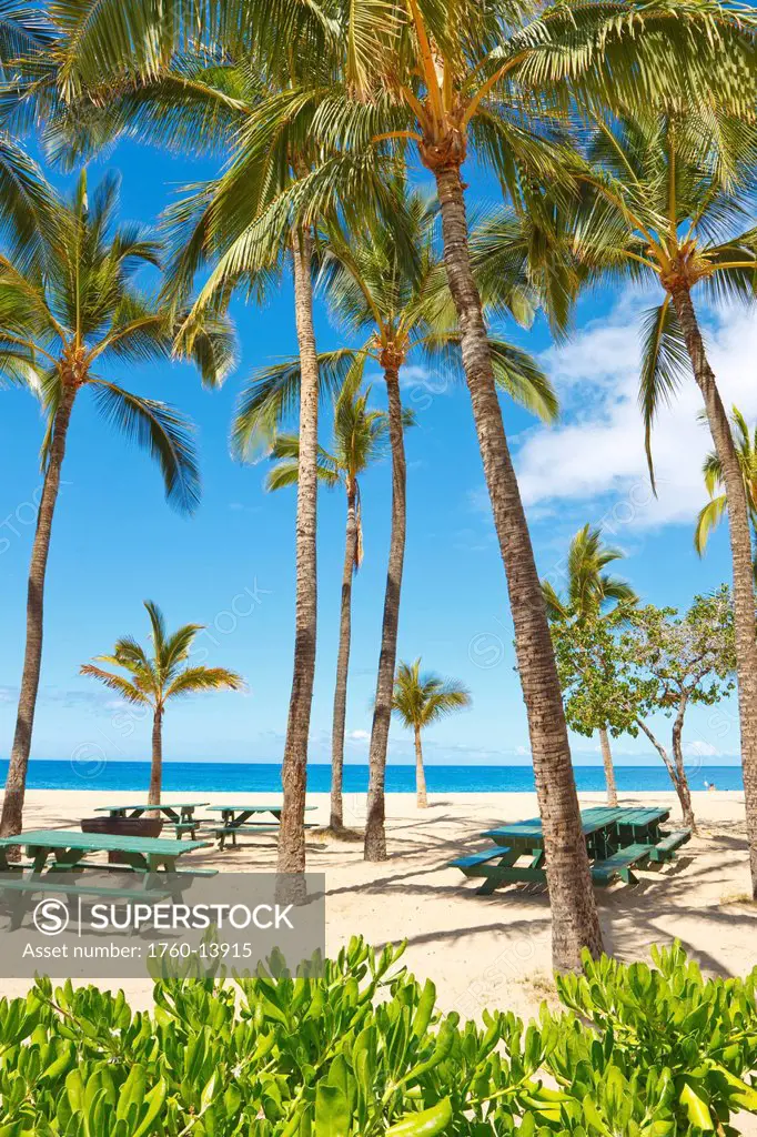 Hawaii, Lanai, Hulopoe Bay Beach Park, Palm trees and picnic tables along beach.