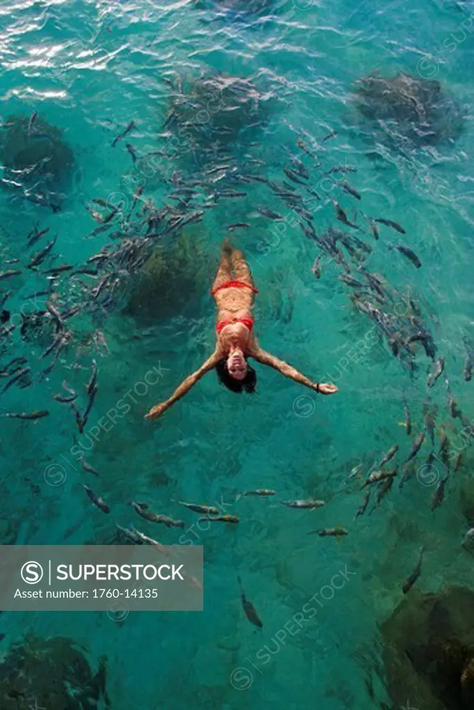 School of fish encircling woman floating in tropical ocean water.