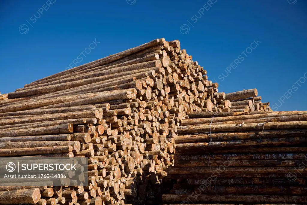 Oregon, Coos Bay, Piles of timber at logging company.