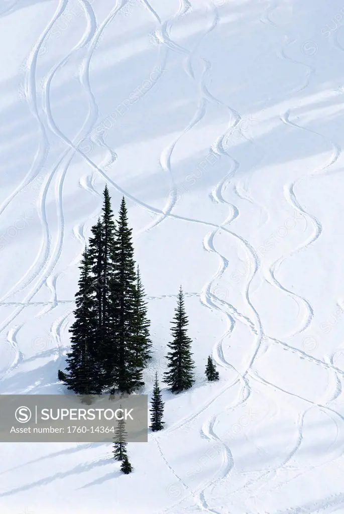 Washington, Mount Rainier National Park, Paradise Valley, Ski trails down snow_covered hill.