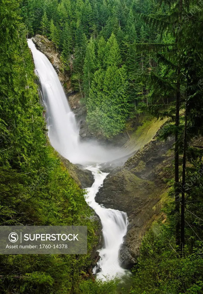 Washington, Cascade Mountains, Wallace Falls State Park, Wallace Falls surrounded by lush forest.