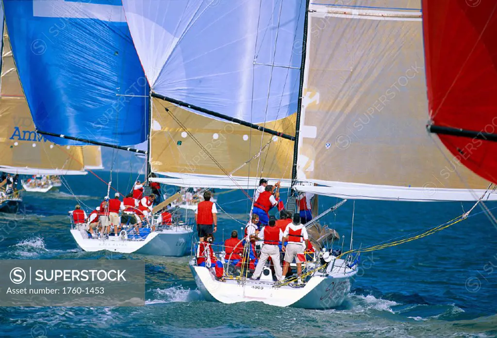 SF, Big Boat Series, Stern view of yachts off the wind, colorful sails C1311