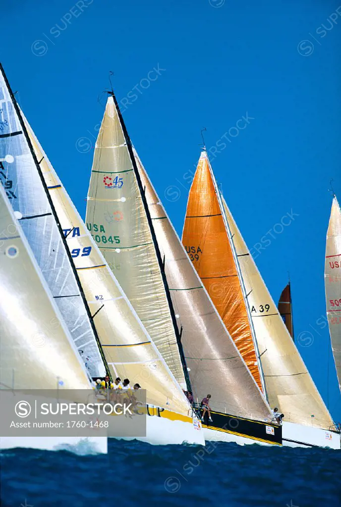 Florida, Key West Race Week, many colorful sails lined up, blue skies C1309