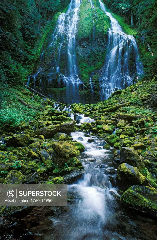 Oregon, Cascade Mountains, Willamette National Forest, Three Sisters Wilderness, Lower Proxy Falls.