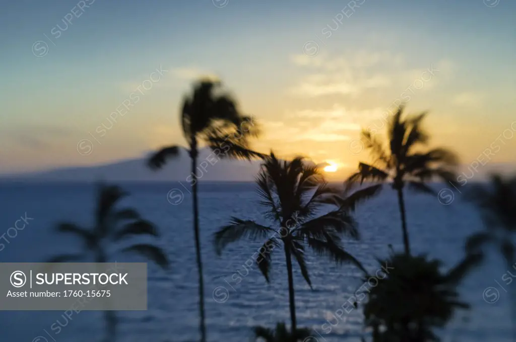 Hawaii, Maui, Wailea Beach Resort, View of sunset over Lanai, Palm trees in foreground.