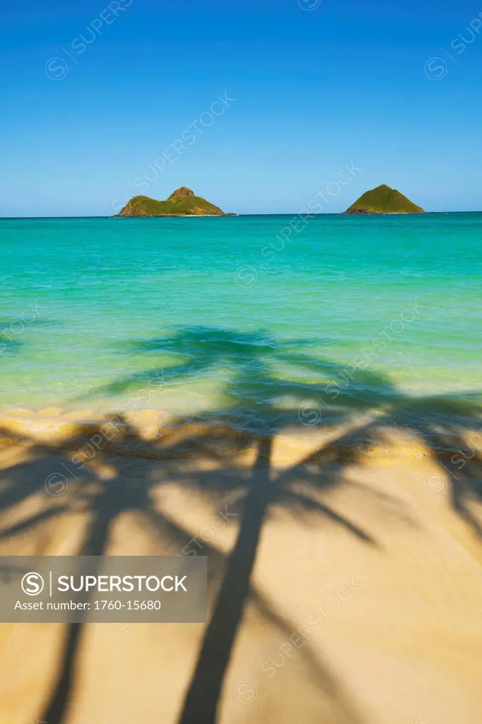 Hawaii, Oahu, Lanikai Beach, Palm tree shadows reach ocean with a view of the Mokulua Islands.