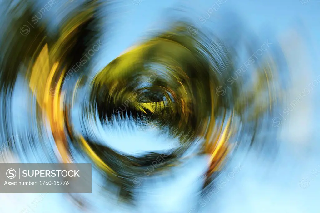 Hawaii, Oahu, Abstract image of blurred palm trees.