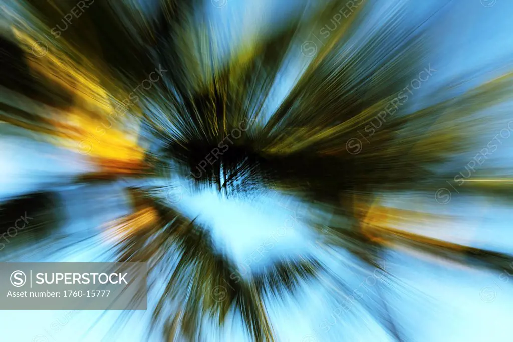 Hawaii, Oahu, Abstract image of blurred palm trees.