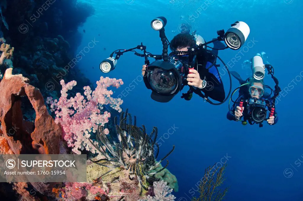 Indonesia, Bali, Divers photographing a crinoid and soft coral