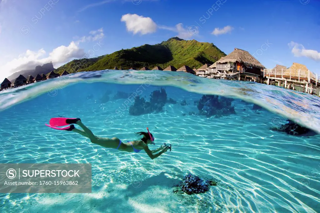 French Polynesia, Moorea, Woman Free Diving In Turquoise Ocean.