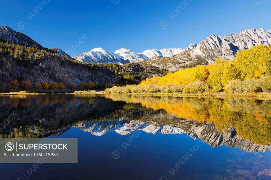 California, Eastern Sierras, Vibrant autumn mountain scene reflecting in a lake