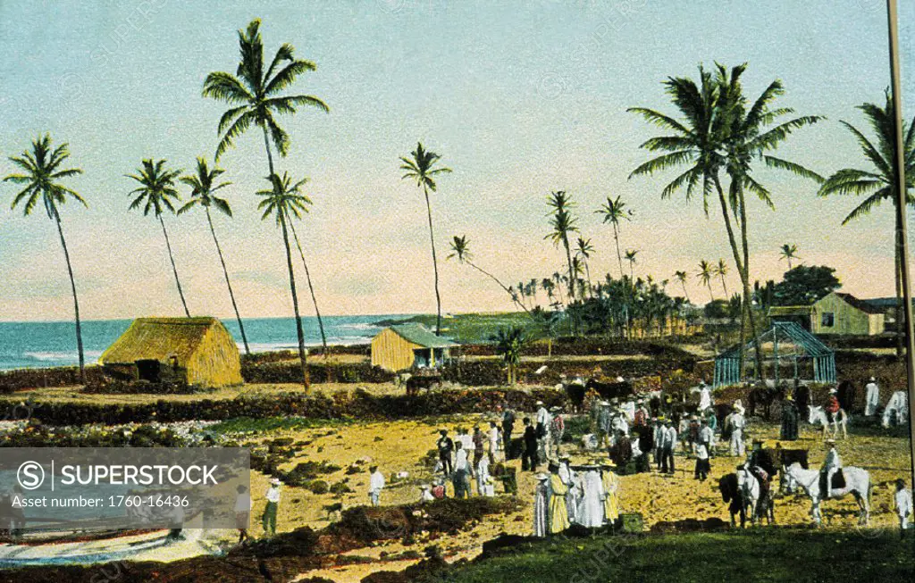 c.1905 Postcard, Hawaii, Big Island,  Laupahoehoe Landing, 1890