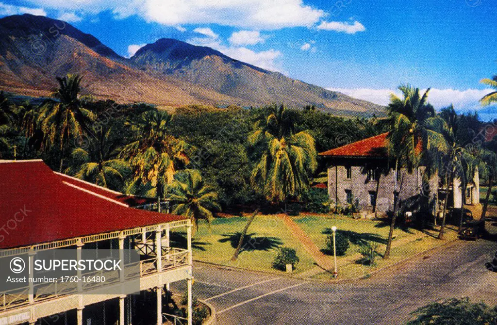 c.1951 Postcard, Hawaii, Maui, view of tropical Lahaina.