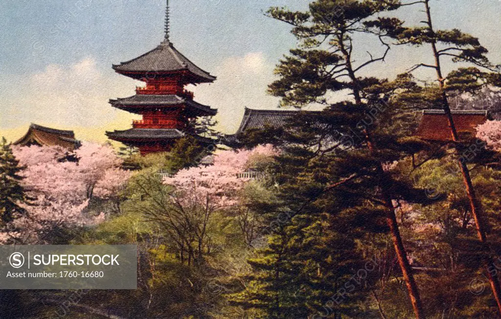 Japan Vintage, Kyoto, Kiyomizu, trees with asian architecture behind
