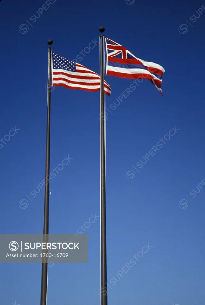 U. S. and Hawaii State flags, long vertical shot, blue sky,