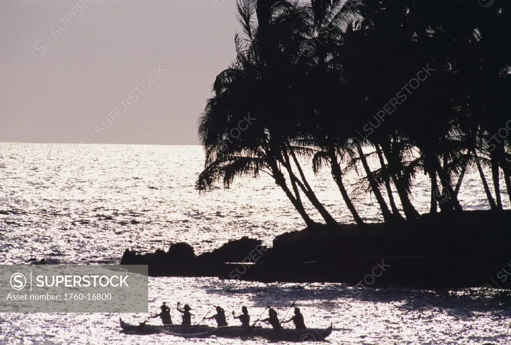 Hawaii, Big Island, Kona, Keahou Bay Outrigger canoe palm trees and ocean.