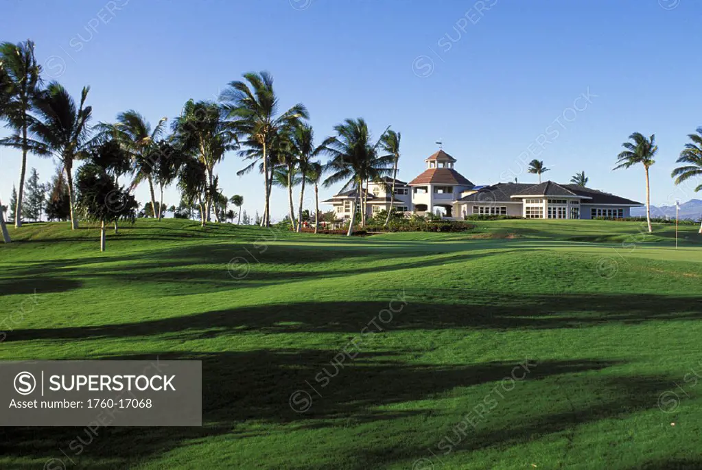 Hawaii, Big Island, Kings Club Waikaloa Golf Course, wind blown palms.