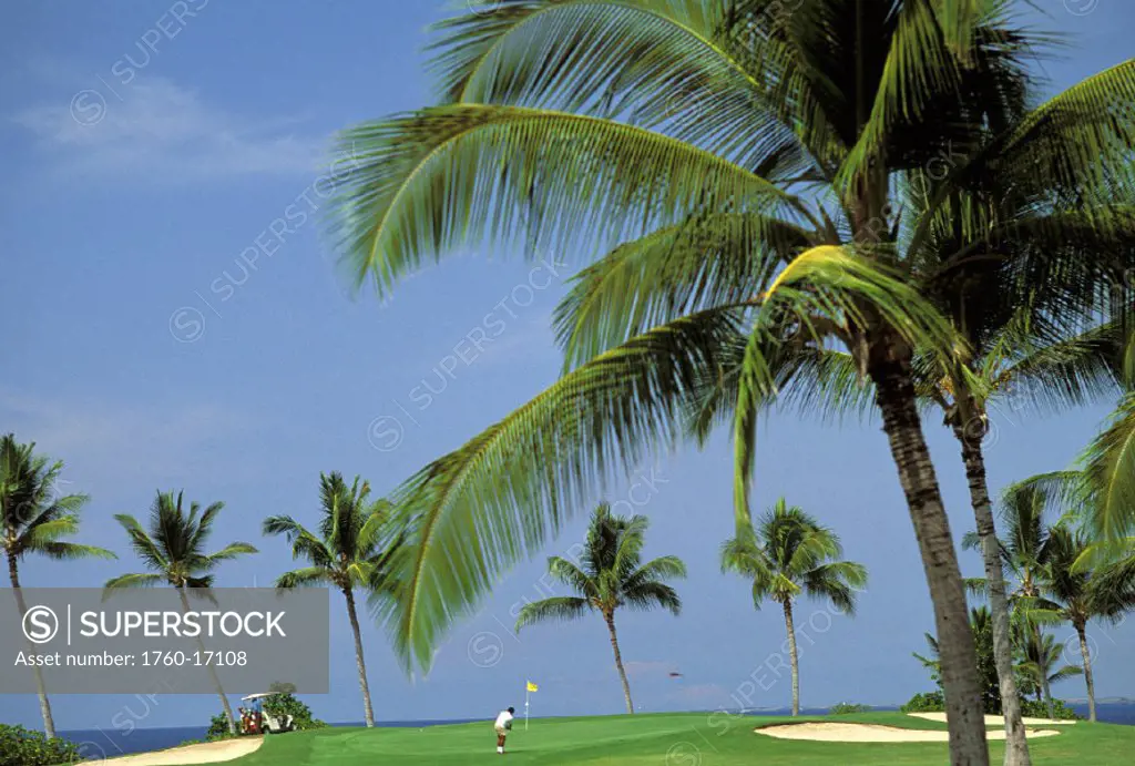 Hawaii, Big Island, Kailua-Kona, Kona Country Club, Ocean Back, palms, golfer, blue skies