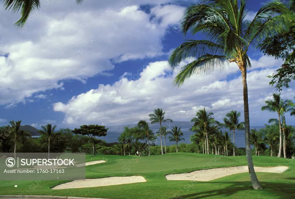 Hawaii, Maui, Wailea Golf Course, Orange Course, green surrounded with sand traps, palm trees