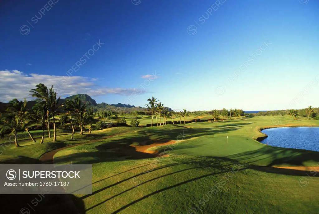 Hawaii, Kauai, Poipu Bay Golf Course, palms with shadows, green with flag in distance, blue skies