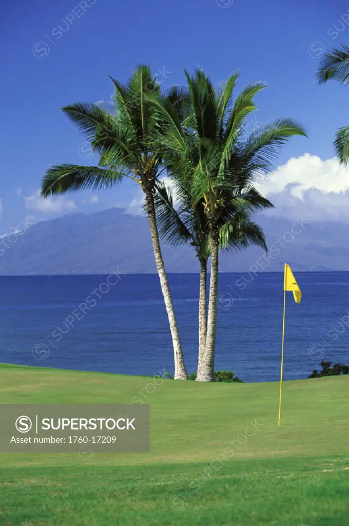 Hawaii, Maui, Makena South Course hole with yellow flag, palm trees and ocean background