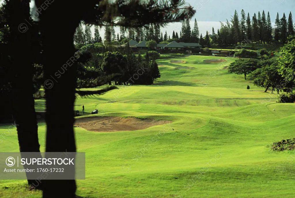 Hawaii, Maui, Kapalua Golf Club Bay Course