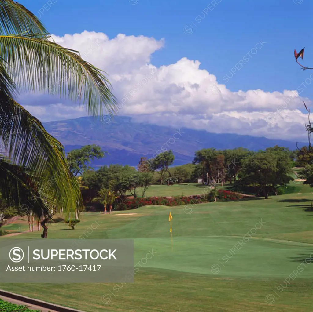 Hawaii, Maui, Wailea Resort Golf Course, Blue Course, palm tree, mountain, fairway.