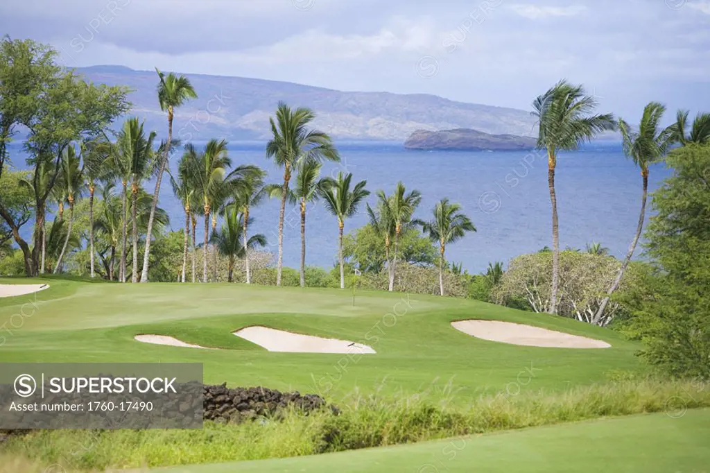 Hawaii, Maui, Wailea Gold Golf Course, palm trees line the course, ocean beyond.