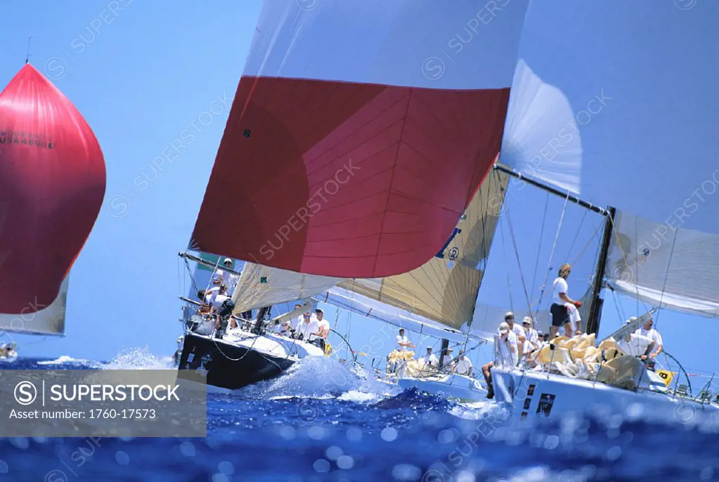 Hawaii, Kenwood Cup, Many yachts cutting through blue waters, colorful sails
