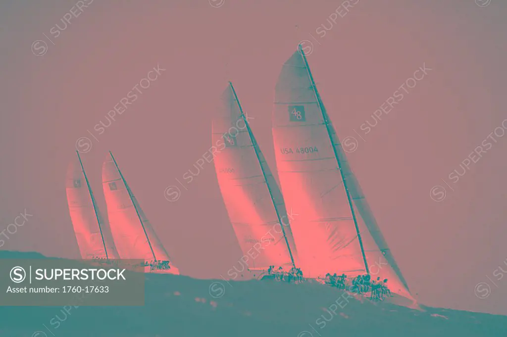 Florida, Miami, Short Ocean Racing Championship SORC, Four yachts sailing Black and white photograph